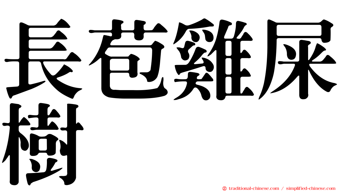長苞雞屎樹