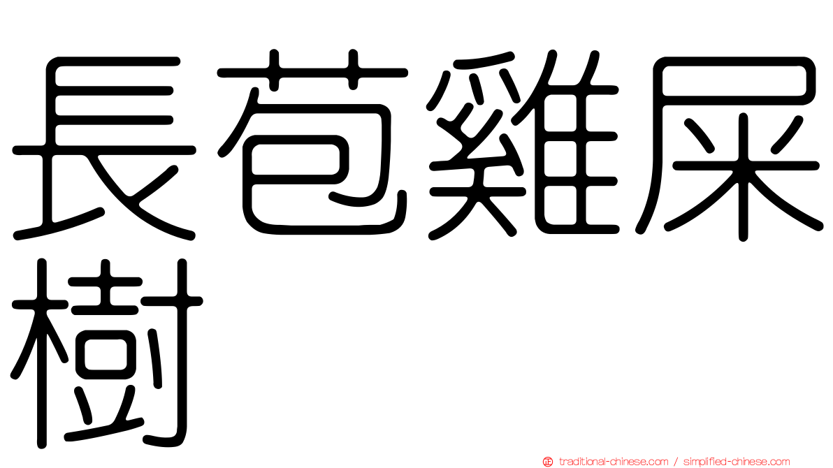 長苞雞屎樹