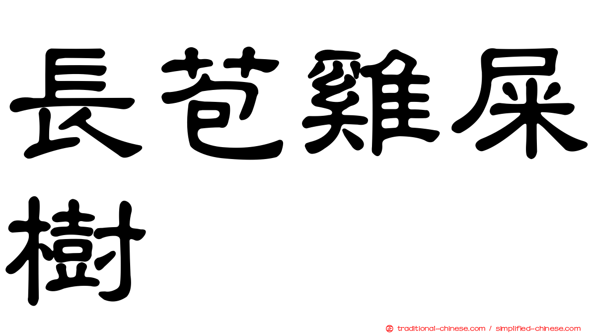 長苞雞屎樹