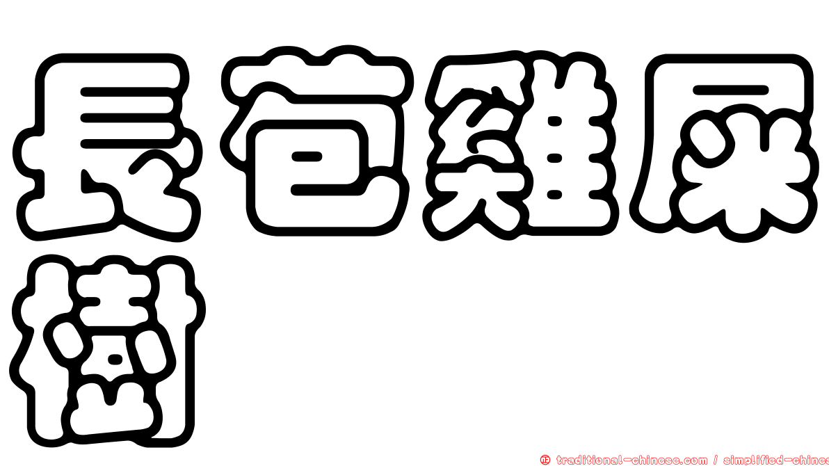 長苞雞屎樹
