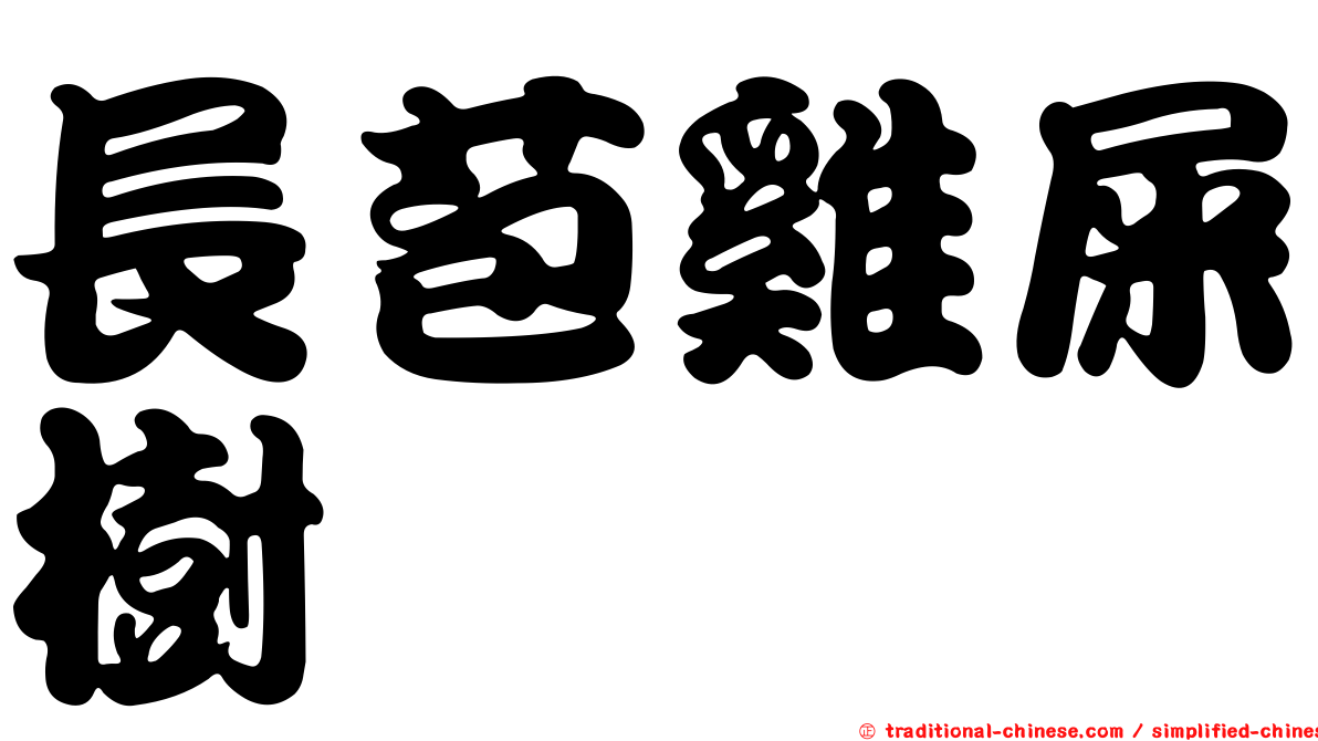長苞雞屎樹