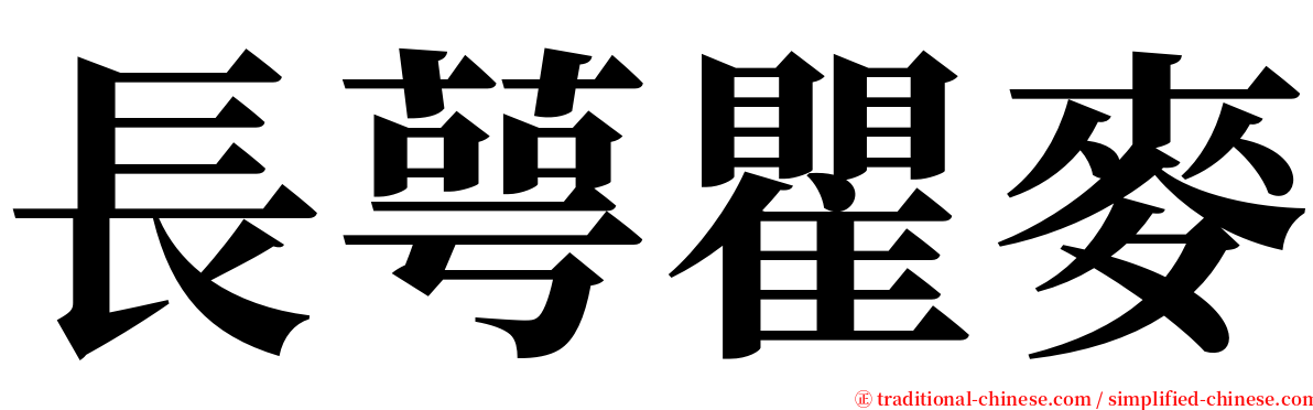 長萼瞿麥 serif font