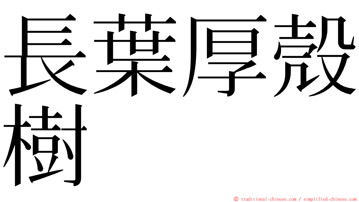 長葉厚殼樹 ming font