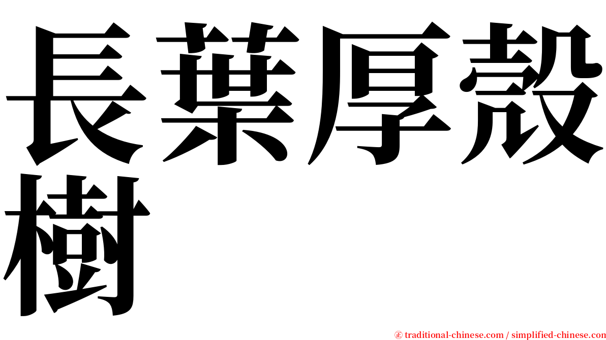 長葉厚殼樹 serif font