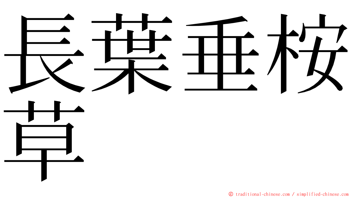 長葉垂桉草 ming font