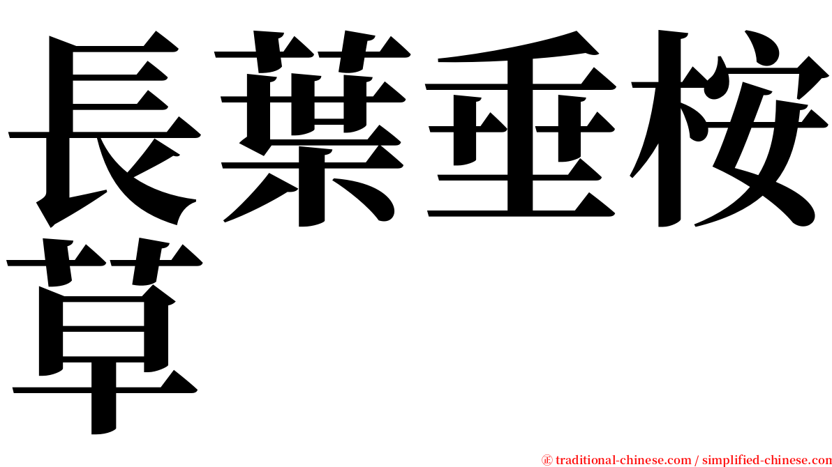 長葉垂桉草 serif font