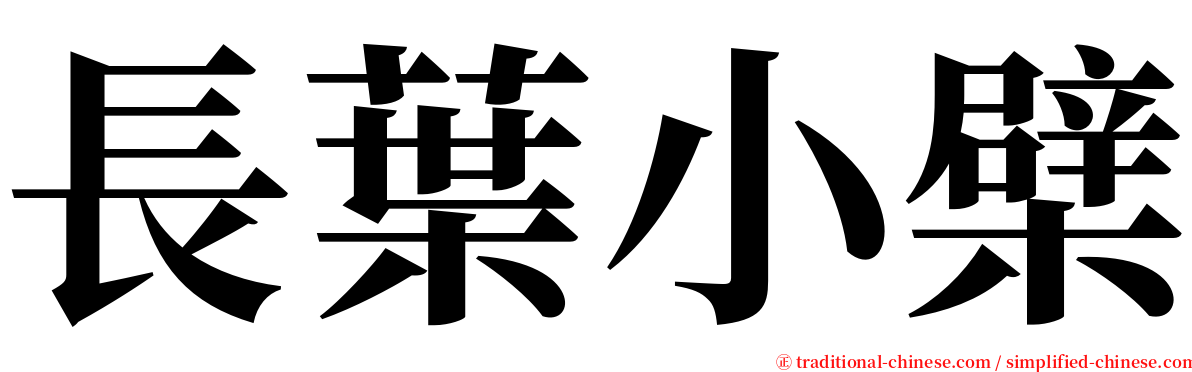 長葉小檗 serif font