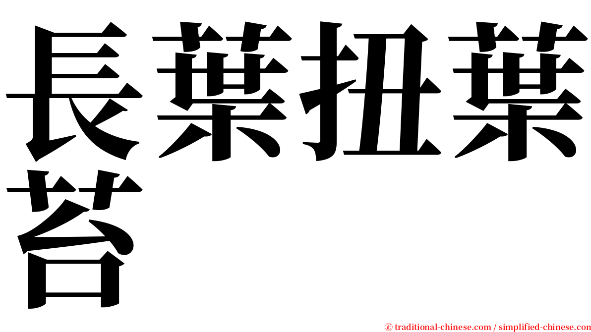 長葉扭葉苔 serif font