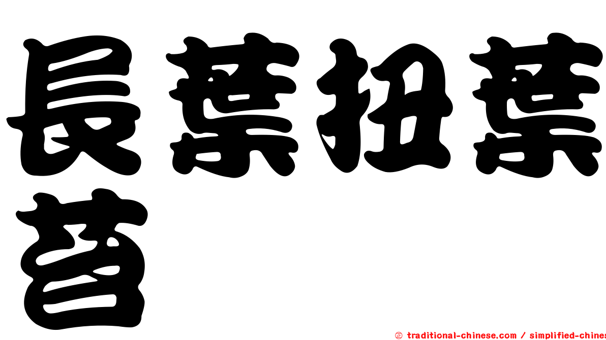 長葉扭葉苔