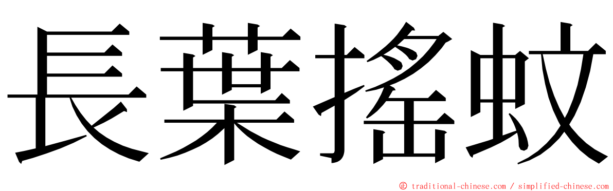 長葉搖蚊 ming font