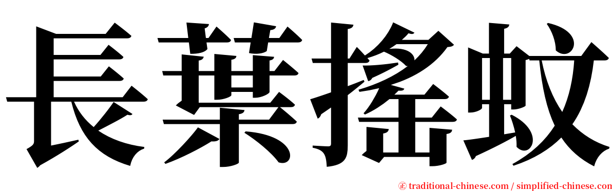 長葉搖蚊 serif font