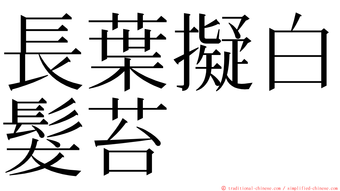 長葉擬白髮苔 ming font