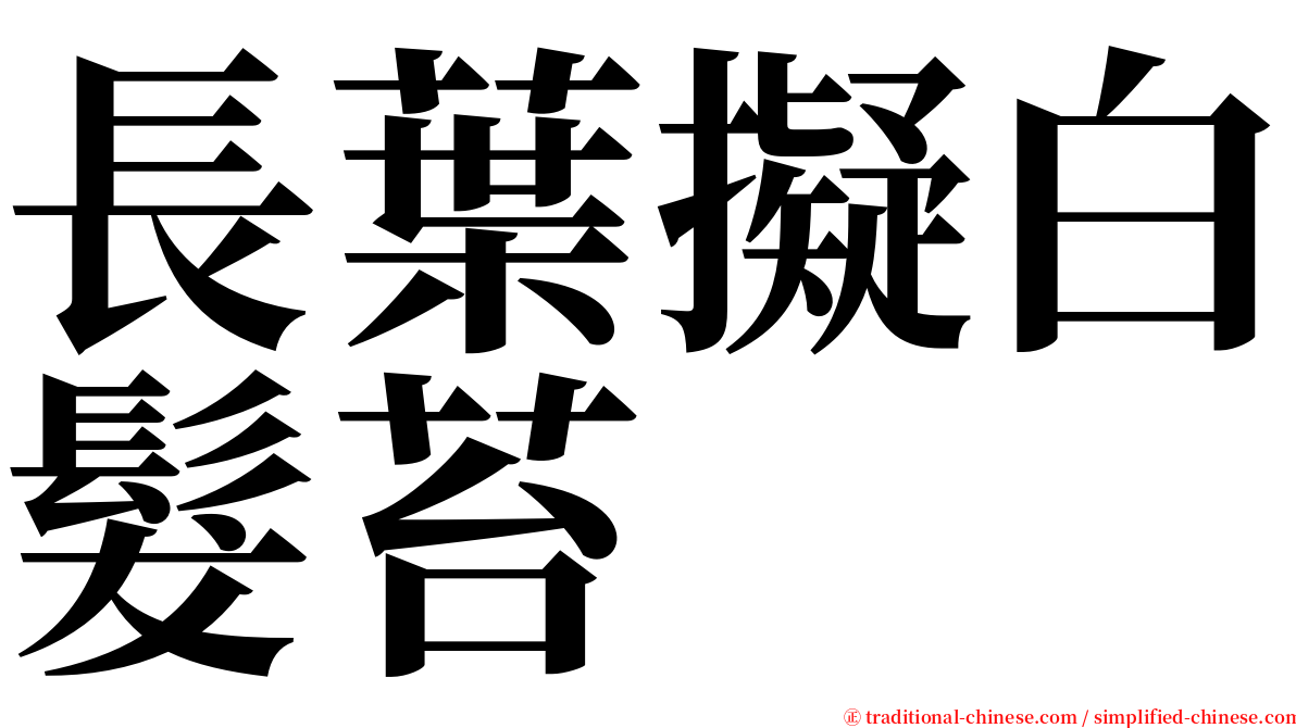 長葉擬白髮苔 serif font