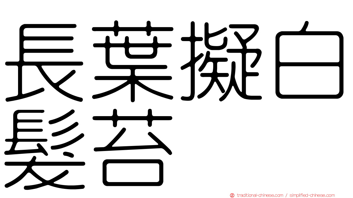 長葉擬白髮苔