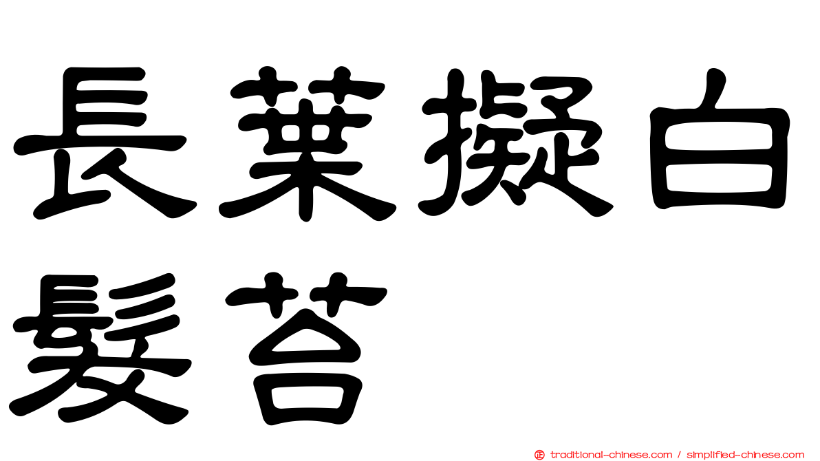 長葉擬白髮苔