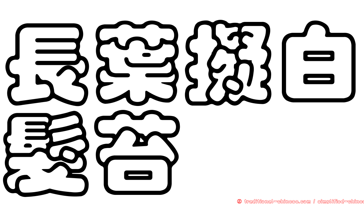 長葉擬白髮苔