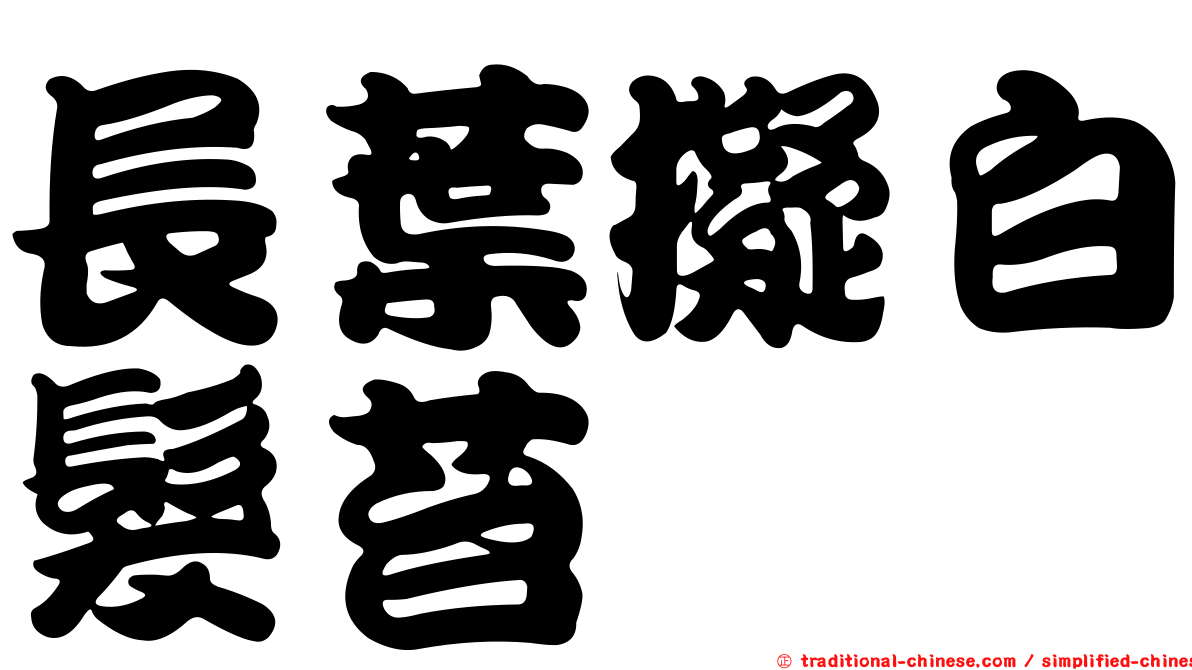 長葉擬白髮苔