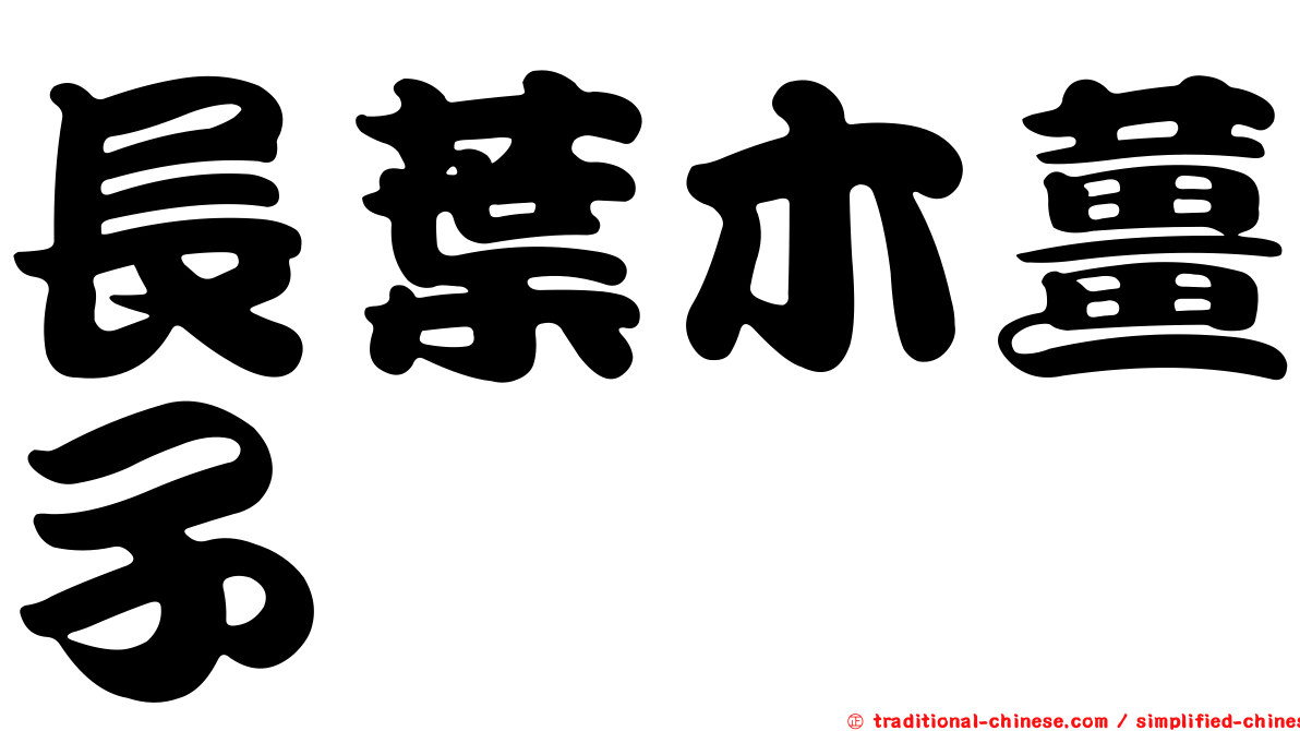 長葉木薑子