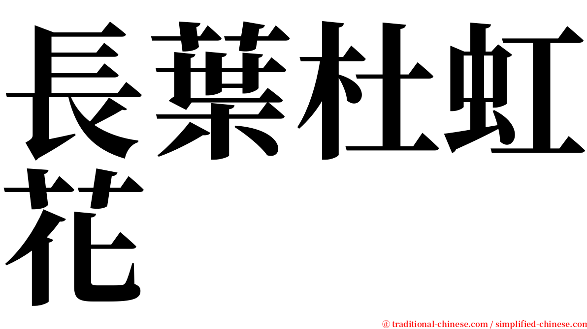 長葉杜虹花 serif font