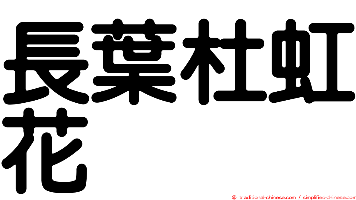 長葉杜虹花