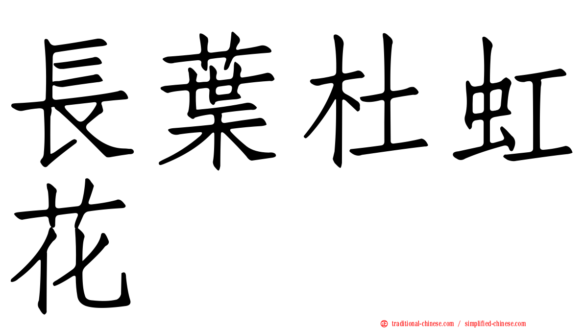 長葉杜虹花