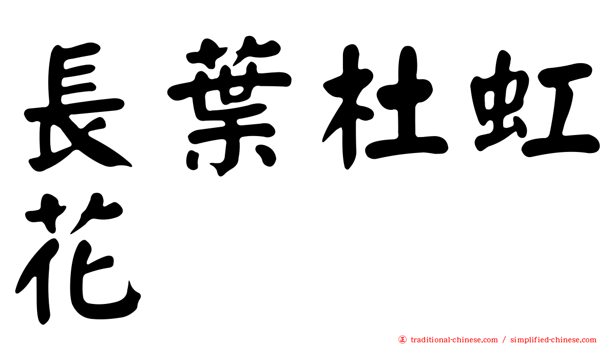 長葉杜虹花