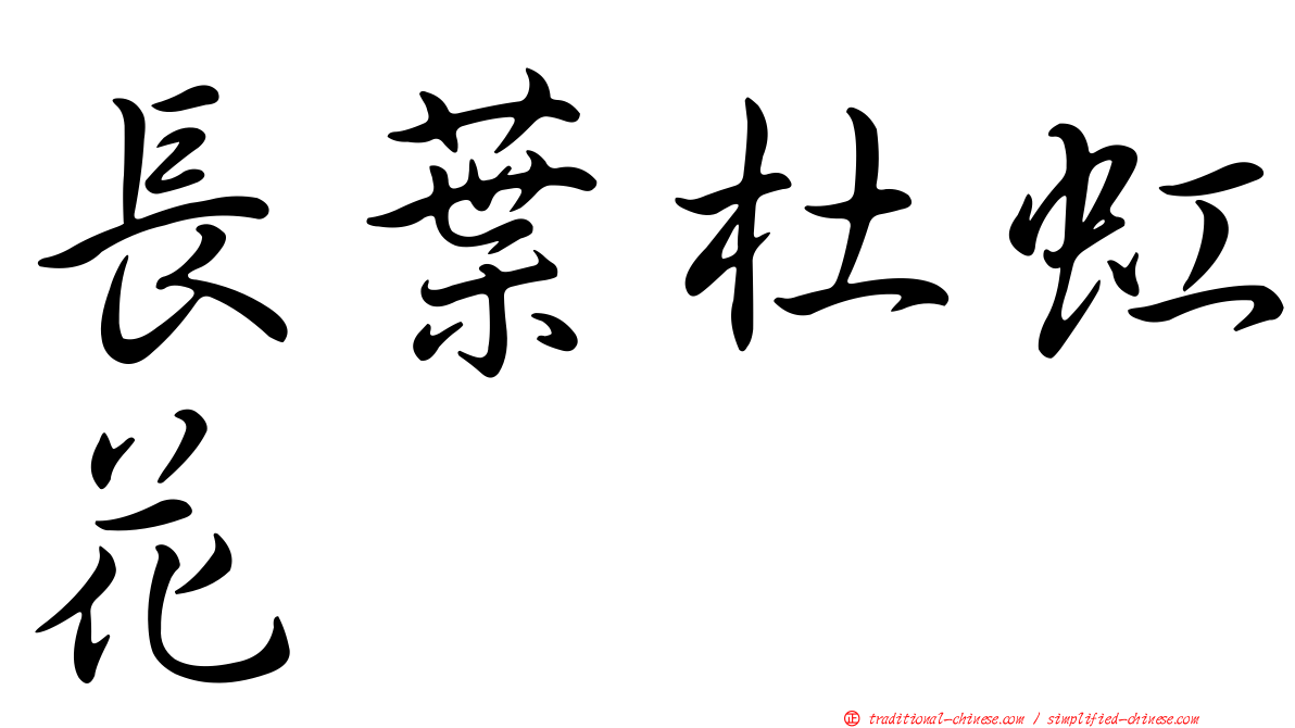 長葉杜虹花