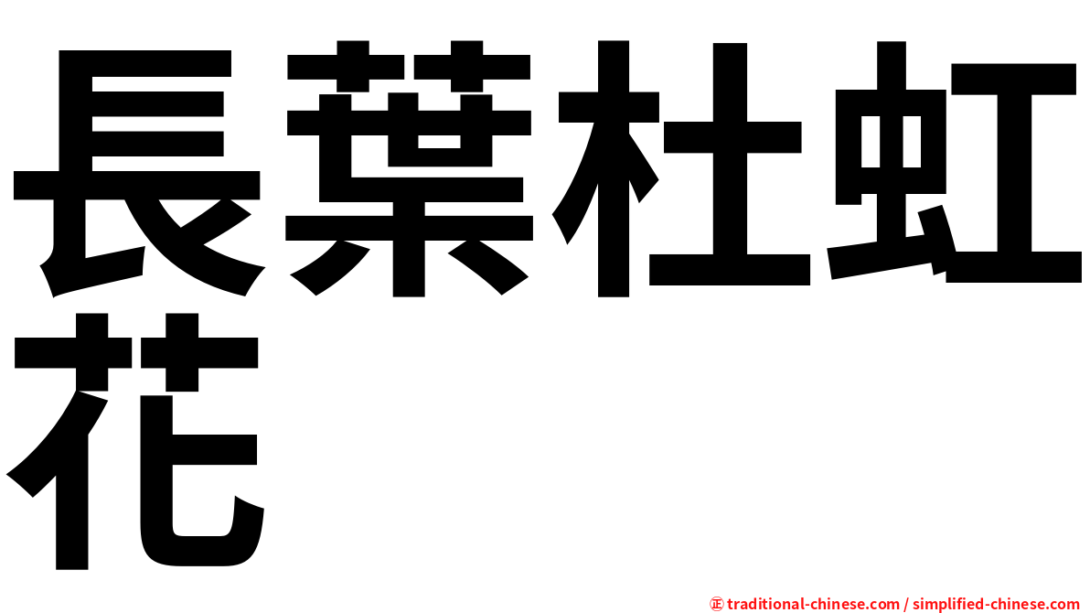 長葉杜虹花