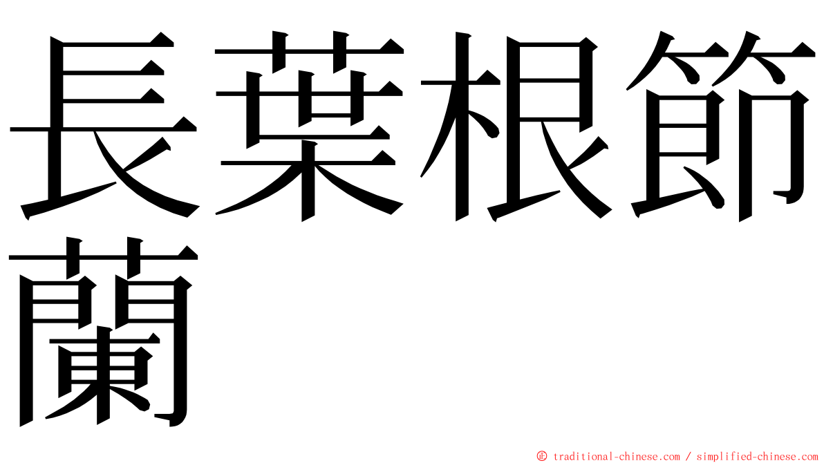 長葉根節蘭 ming font