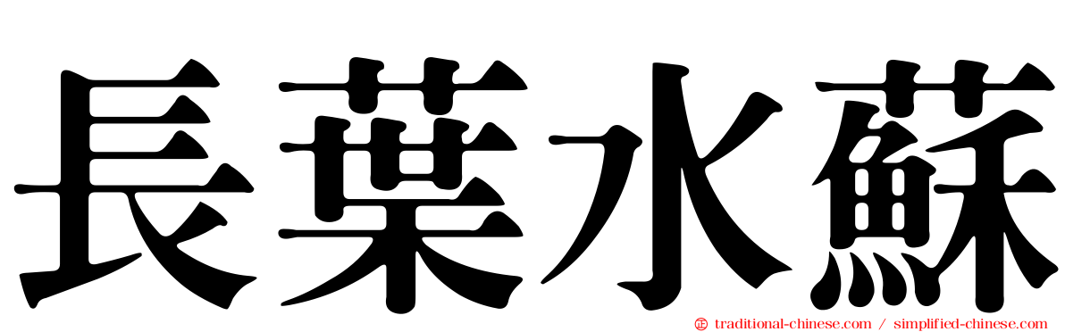 長葉水蘇