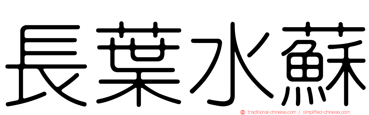 長葉水蘇