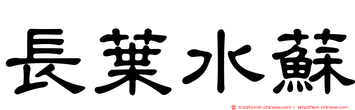 長葉水蘇