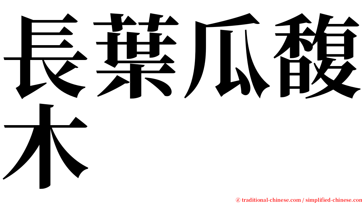 長葉瓜馥木 serif font