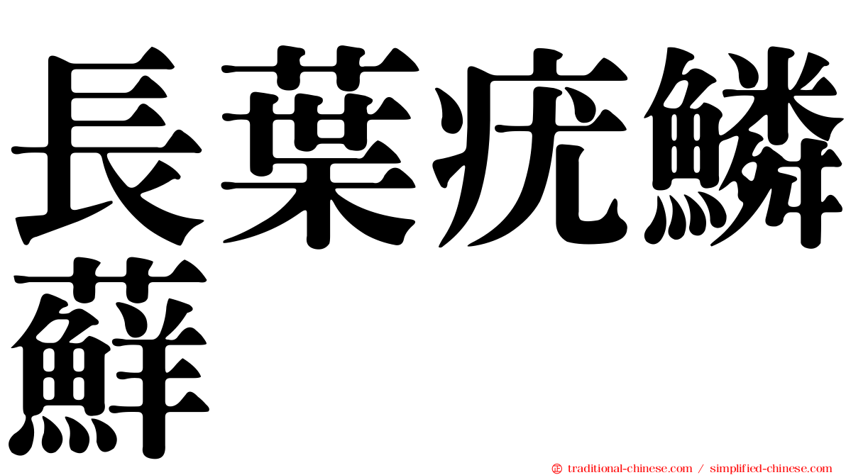 長葉疣鱗蘚