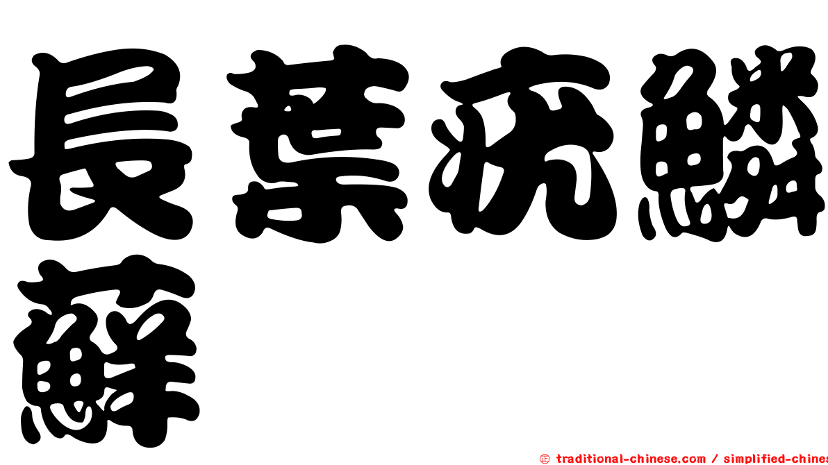 長葉疣鱗蘚