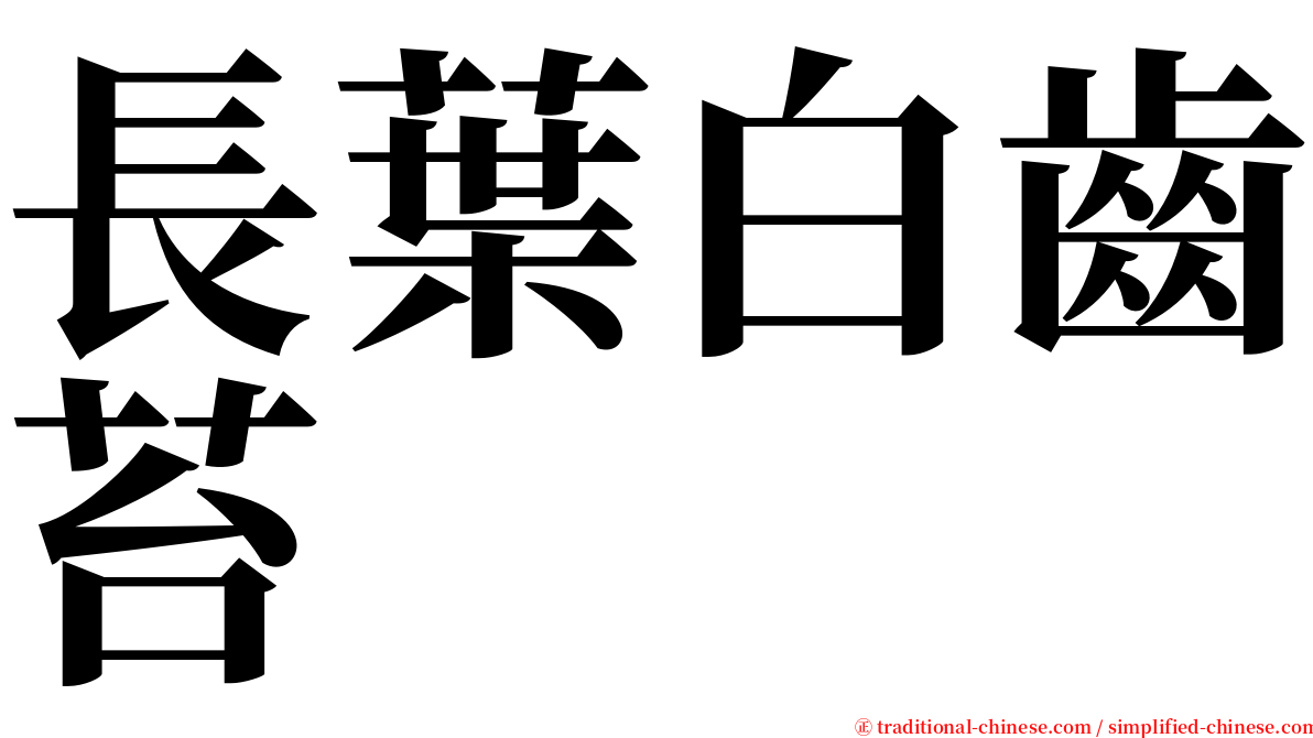 長葉白齒苔 serif font