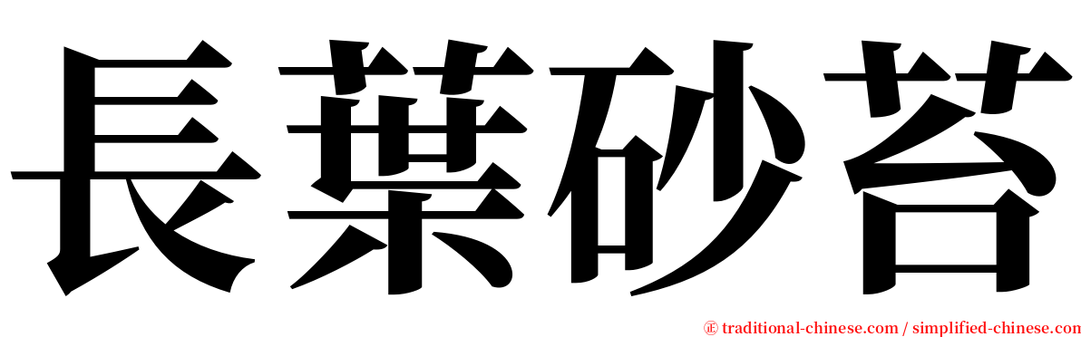 長葉砂苔 serif font