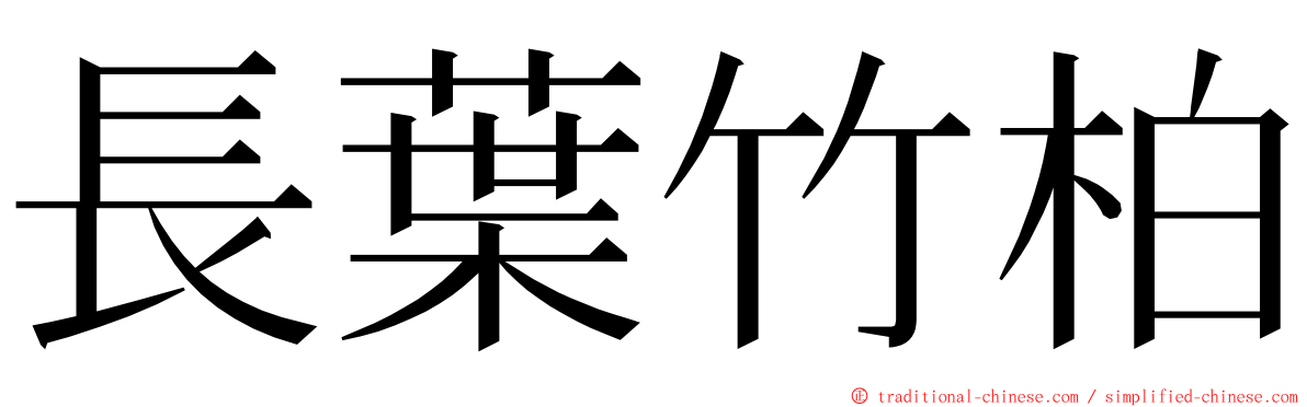 長葉竹柏 ming font