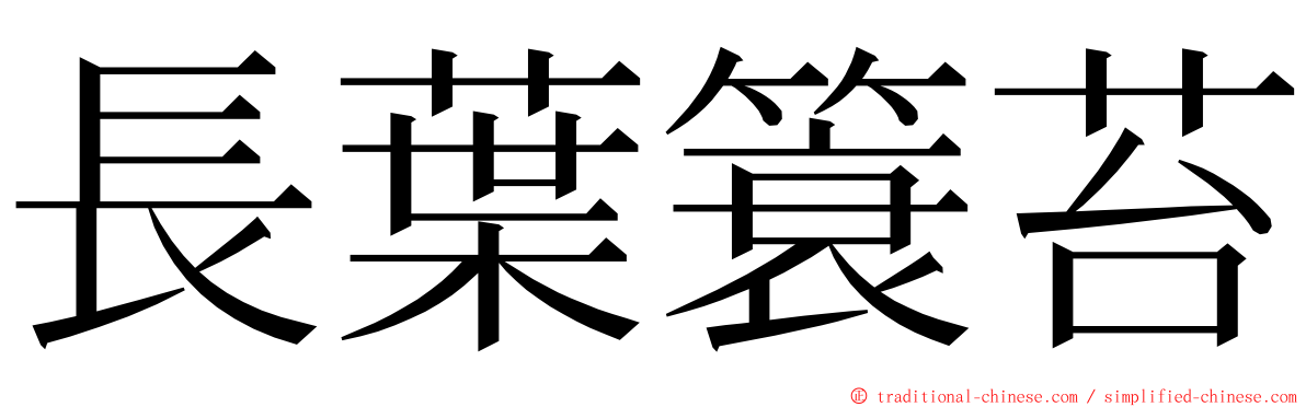 長葉簑苔 ming font