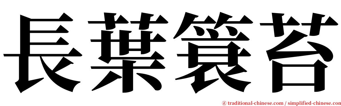 長葉簑苔 serif font