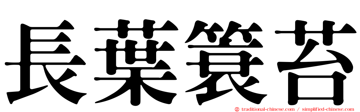 長葉簑苔
