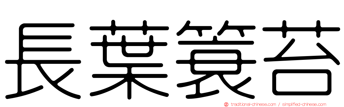 長葉簑苔
