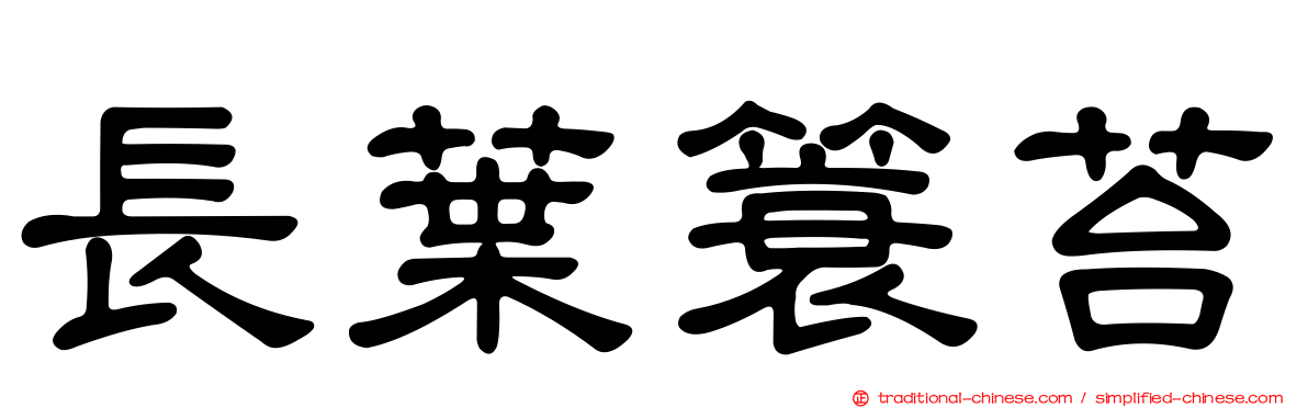 長葉簑苔