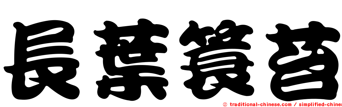 長葉簑苔