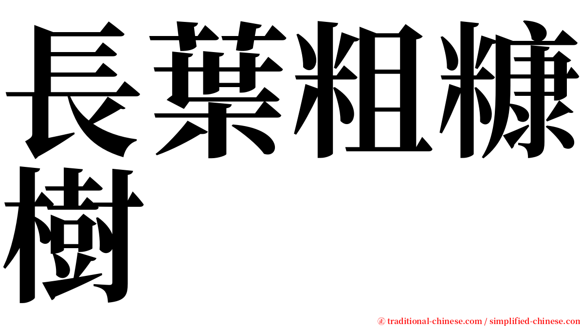 長葉粗糠樹 serif font