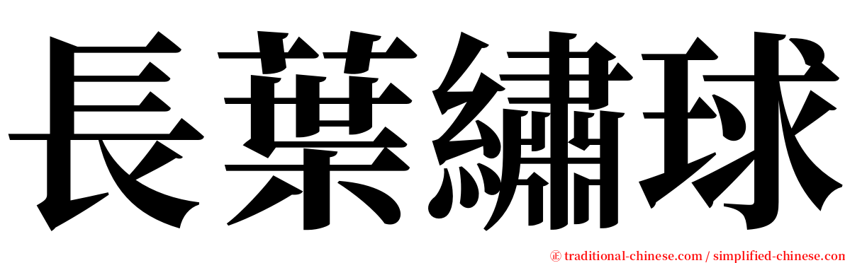 長葉繡球 serif font