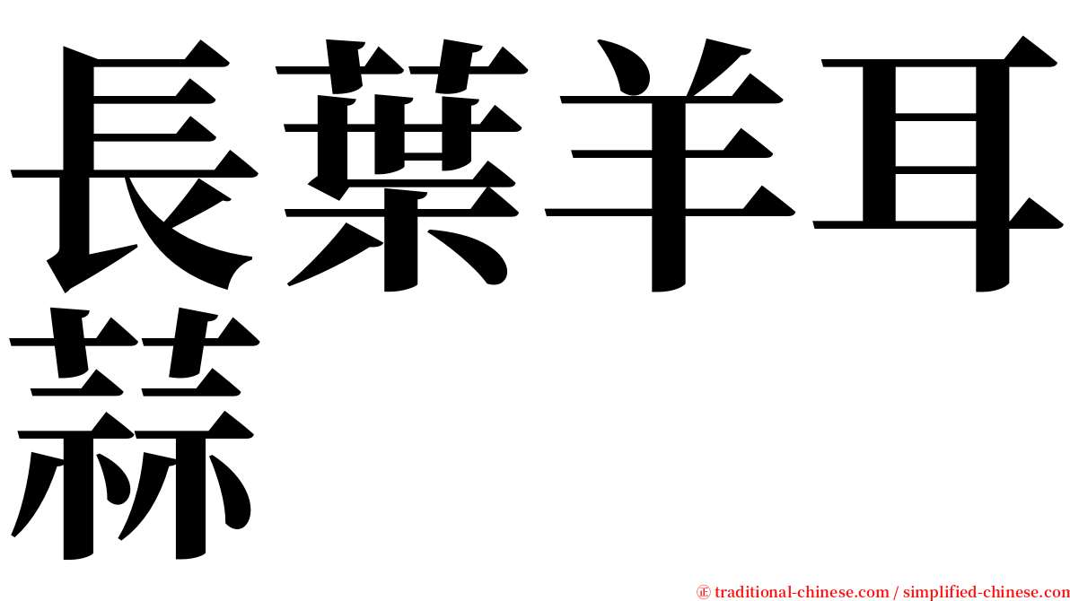 長葉羊耳蒜 serif font