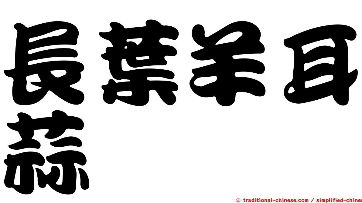 長葉羊耳蒜