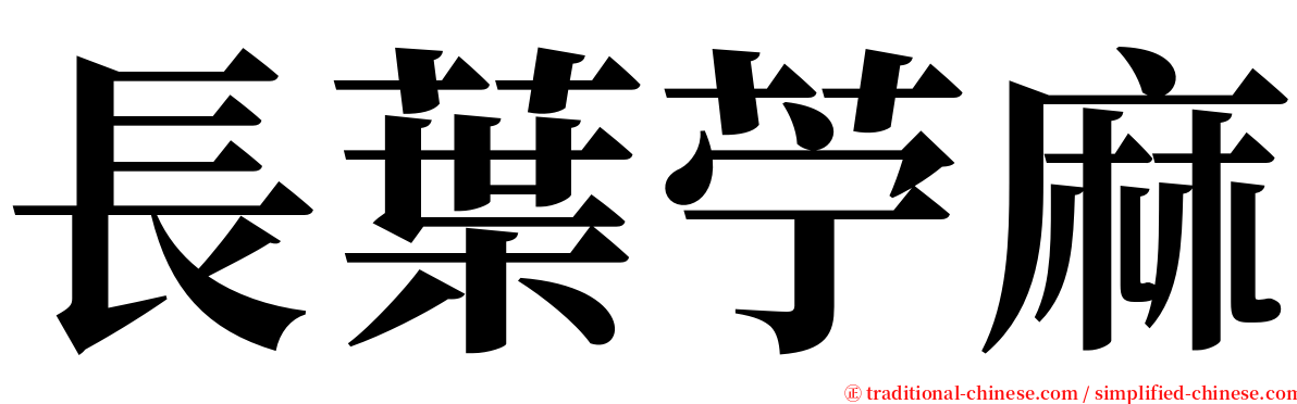 長葉苧麻 serif font