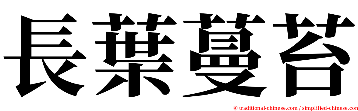 長葉蔓苔 serif font